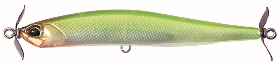 CCC3127 - Grass Minnow