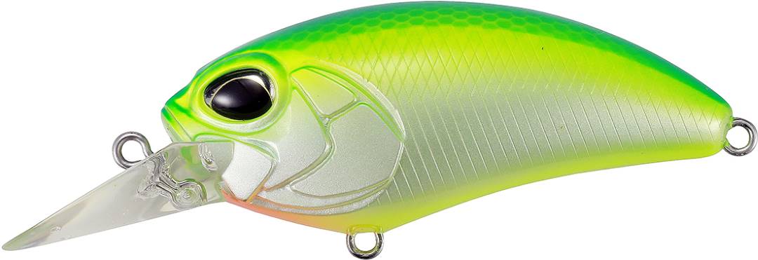 CCC3180 - Citrus Shad