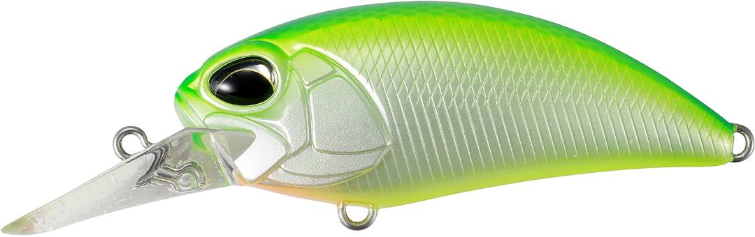 CCC3180 - Citrus Shad