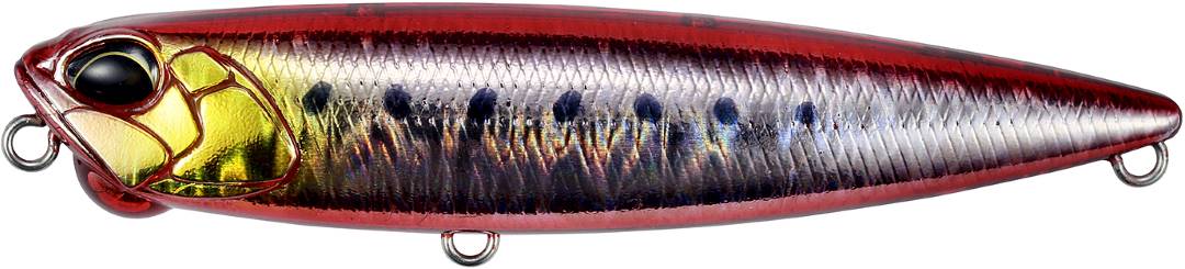 DPA0384 - Fire Sardine