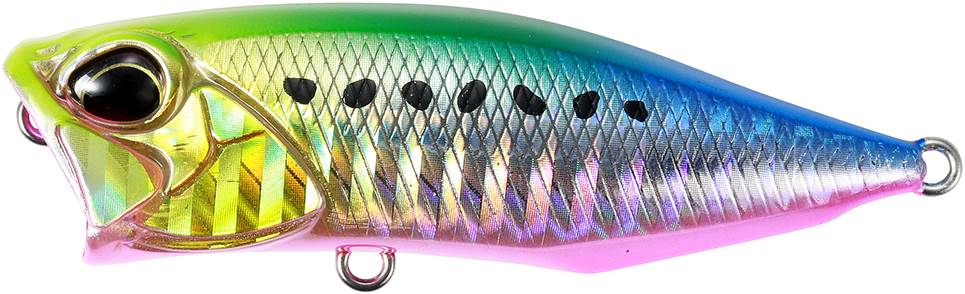 DHA0183 - Vivid Sardine PB