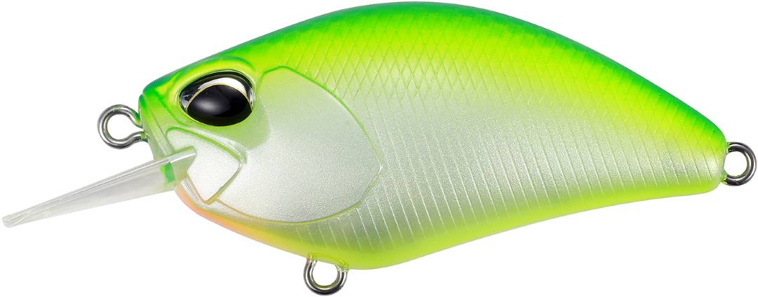 CCC3180 - Citrus Shad