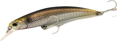 DBA0157 - Waka Mullet