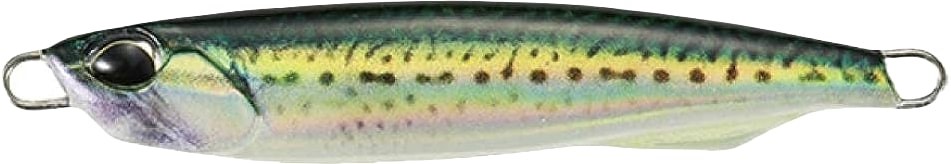 PNA0489 - Real Mackerel