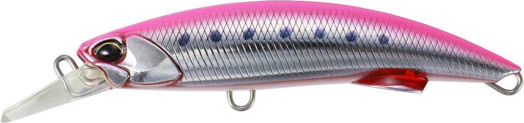 CSB0513 - Genkai Pink Sardine GB