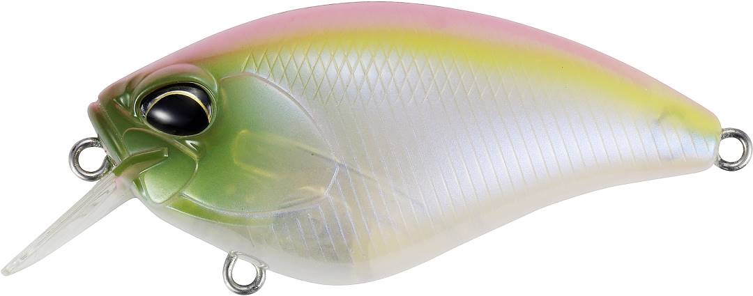 DUO Realis Apex Crank 66 Squared