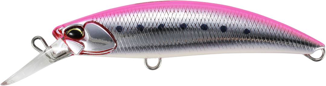 CSB0513 - Genkai Pink Sardine GB