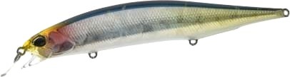 DDN0491 - Euro Anchovy