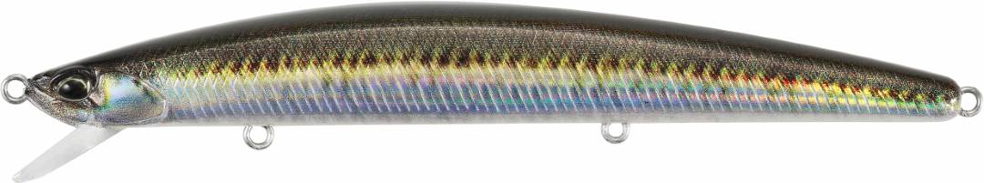 SNA0841 - Real Sand Lance