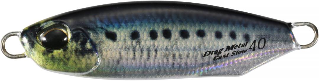 PMA0486 - Real Sardine