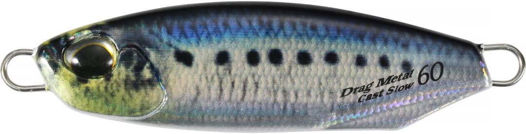 PMA0486 - Real Sardine