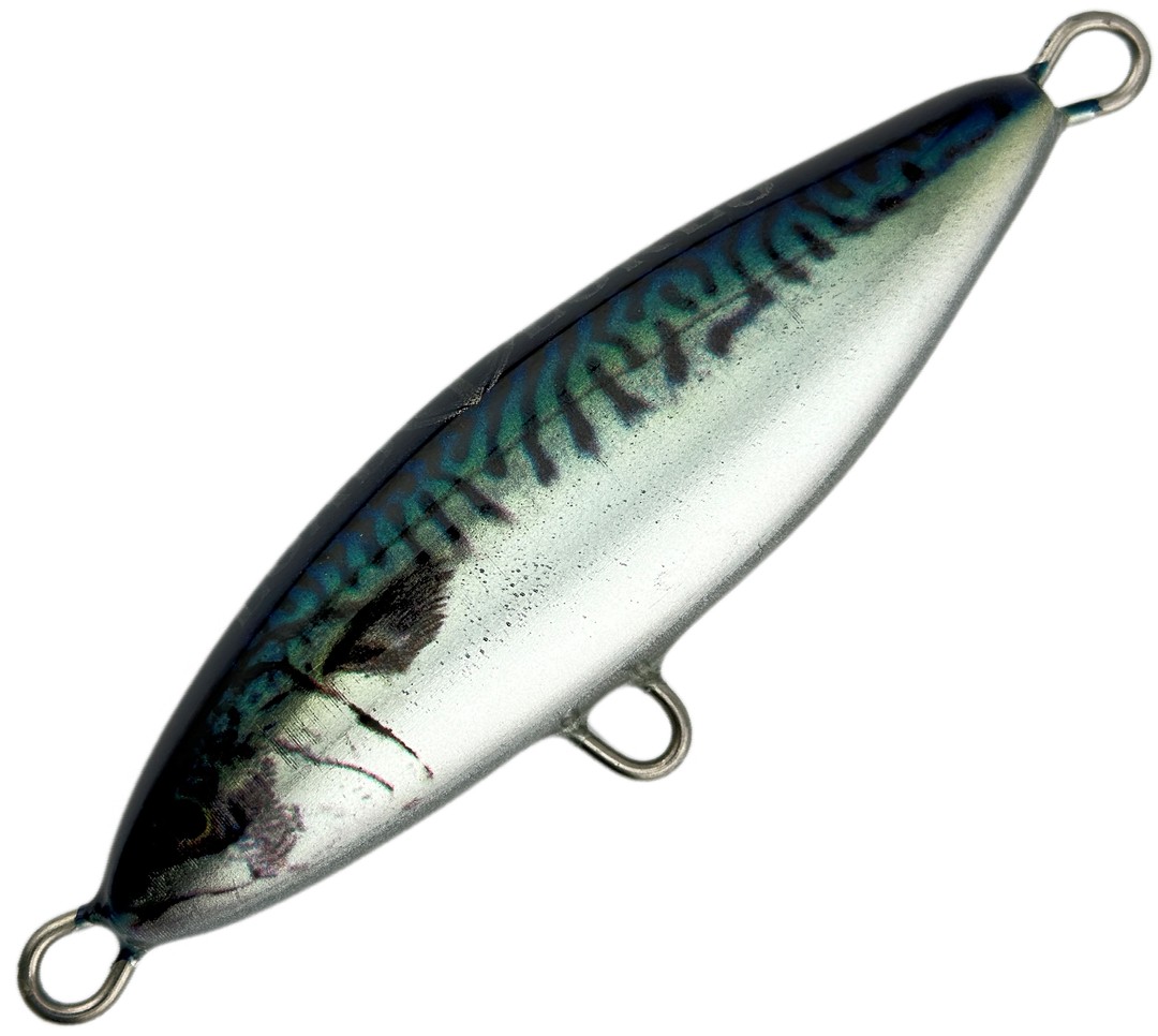 Mackerel